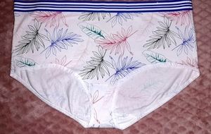 NWOT 💖 Cacique Cotton Full Brief